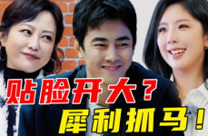 综艺小说多集娱乐圈吃瓜,多集综艺吃瓜大揭秘