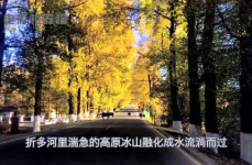 娱乐吃瓜君别墅,揭秘隐藏在豪宅背后的奢华生活