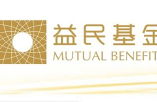 益民基金,多元化投资策略下的稳健成长之路”