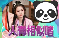 娱乐吃瓜爆料小说推荐,揭秘明星背后的秘密与八卦